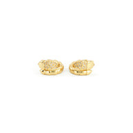 Aretes ÉCLAT