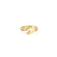 Anillo NOA