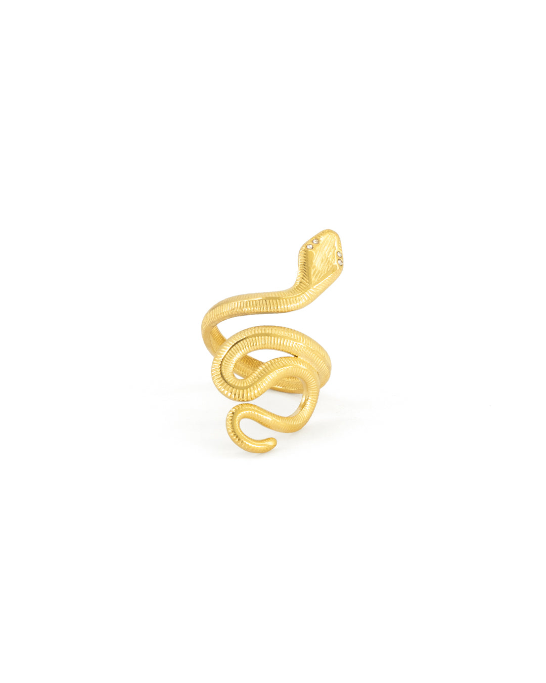 Anillo SAVIA